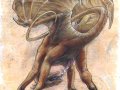 m_1274260750186.syntarsis_kats_dragon050605sm.jpg